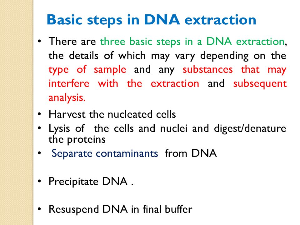 Cell Lysis Buffer For Dna Extraction - connectionsfasr